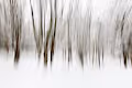 Impressionism by Richard Beech Photography