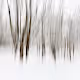 Impressionism by Richard Beech Photography