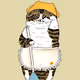 Cleaning Cat - old