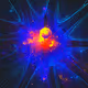 In Silico