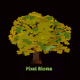 Pixel Biome - old