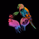 surrealism-nft