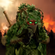 Guardians of the $Forest