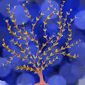 Flower in imagine By Sri - old