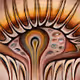 Phantasmic