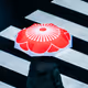 Multifaceted Tokyo (Open Edition)