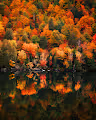 Colors of the North