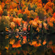Colors of the North