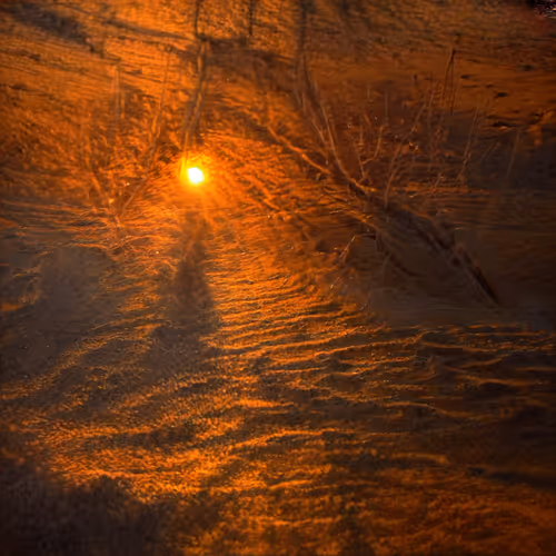 landscapes in your ecosystem