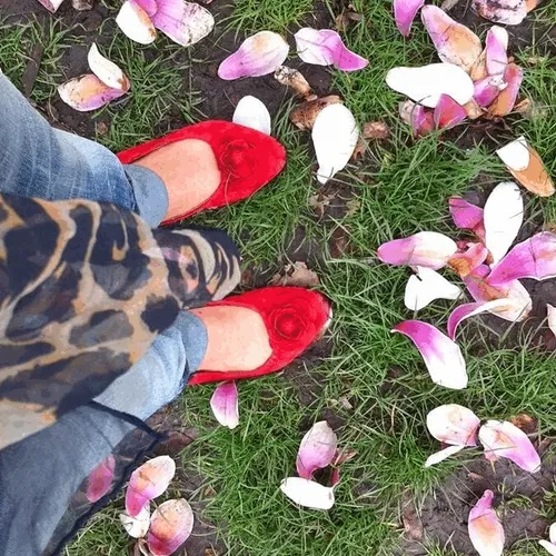 WMFG 4 Seasons Collection - Spring/Summer/Fall/Winter Edition