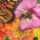Flower Banners