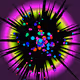 The Urchin