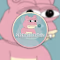 PPMetaverse