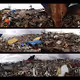 Typhoon Yolanda Tryptic - old V2