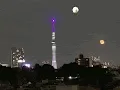 EarthTimeline Collection