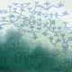 Elysian Fields by Elysia