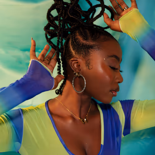 THE EBONY ALLURE