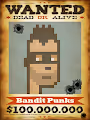 Bandit Punks