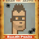 Bandit Punks