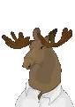 Moose Town