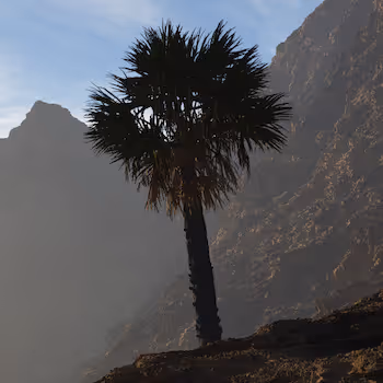 Other Worlds by meltingice