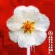 Primary Nature Pixel Flowers
