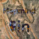 MapMind Pin Live