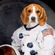 Space Doggo Adventures