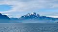 swiss nature