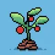 The Tomatoz