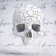 Broken-Minds