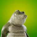 Chubby Gators