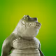 Chubby Gators