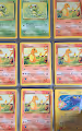 Pokemon Card Collection BINDER