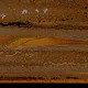 Texture Part II