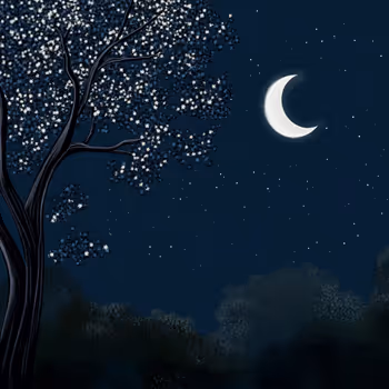 Evening