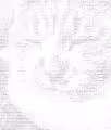ASCII Cat - old