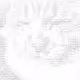 ASCII Cat - old