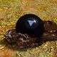 Future's Magic Ball