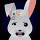 Moody The Rabbit