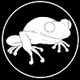 Collie Buddz Twisted Tree Frog Massive
