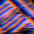 The message Collection - old
