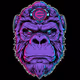The Endangered: Gorillas