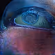 Eye Couture