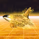 Whales Worldwide 2022