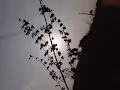 Aesthetics of Mother Nature