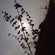 Aesthetics of Mother Nature