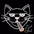 High Cat