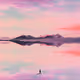 SereneDreams