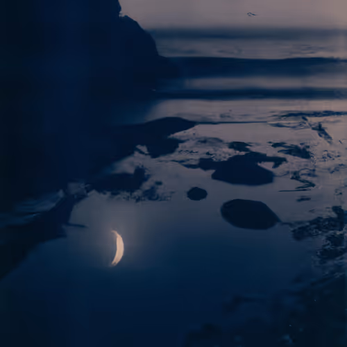 Tide Pools by Matt Kane